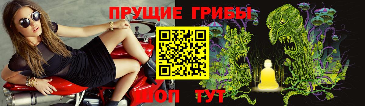 Галлюциногенные грибы Magic Shrooms  Галлюциногенные грибы Magic Shrooms  Вход с VPN  где можно купить наркотик  Великий Устюг 